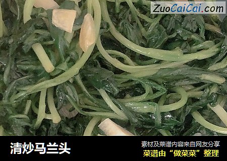 清炒马兰头