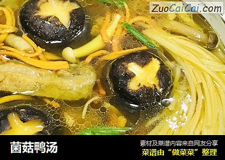 菌菇鸭汤