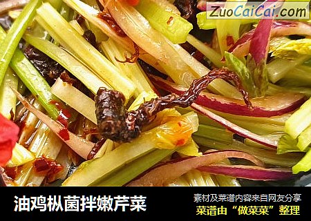 油鸡枞菌拌嫩芹菜