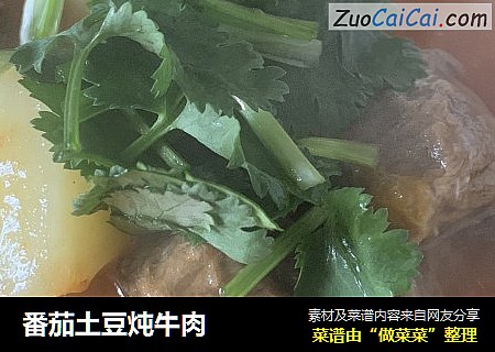 番茄土豆炖牛肉