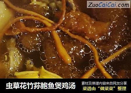 虫草花竹荪鲍鱼煲鸡汤