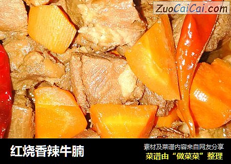 红烧香辣牛腩