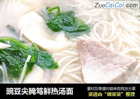 豌豆尖腌笃鲜热汤面