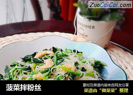 菠菜拌粉丝