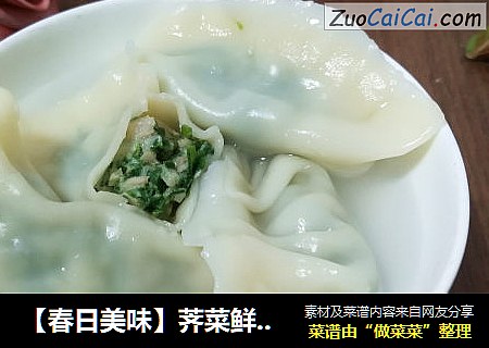 【春日美味】荠菜鲜肉水饺