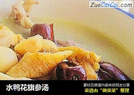 水鸭花旗参汤