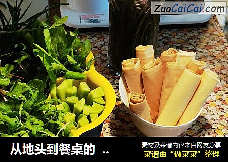 从地头到餐桌的绿色时蔬&卷煎饼