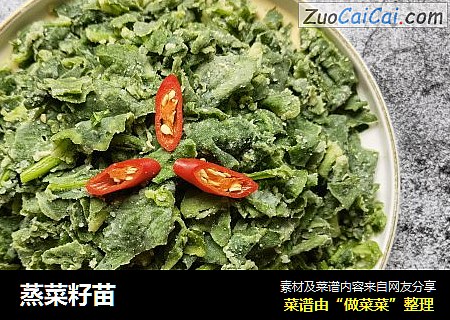 蒸菜籽苗