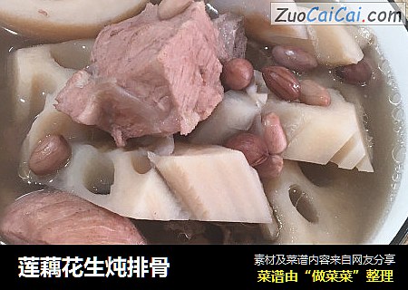 莲藕花生炖排骨