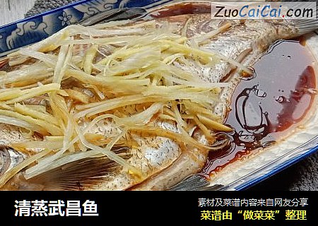 清蒸武昌鱼