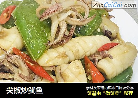 尖椒炒鱿鱼