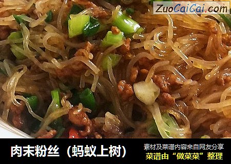 肉末粉丝（蚂蚁上树）