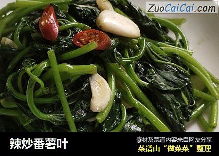 辣炒番薯叶