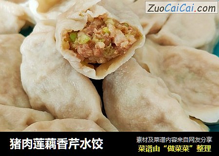 猪肉莲藕香芹水饺