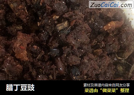 腊丁豆豉