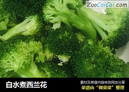 白水煮西兰花