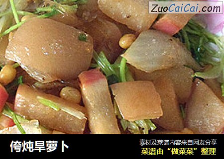 侉炖旱萝卜