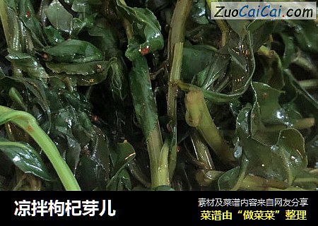 凉拌枸杞芽儿