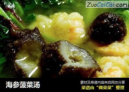 海参菠菜汤