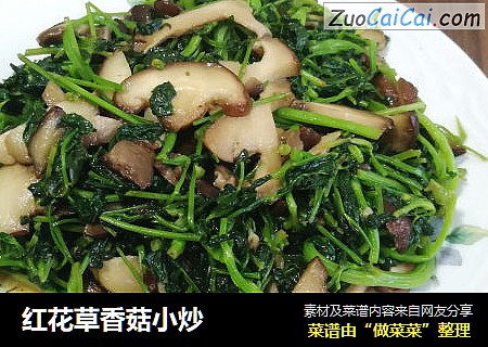 红花草香菇小炒