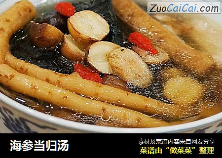 海参当归汤