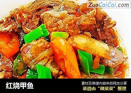 红烧甲鱼