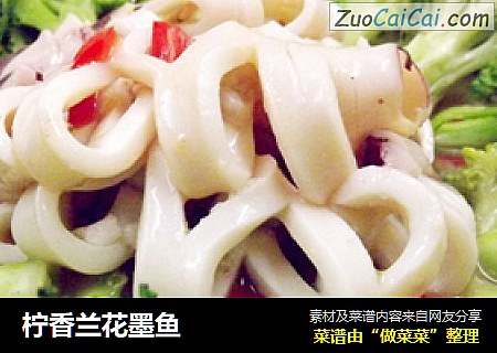柠香兰花墨鱼
