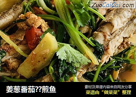 姜葱番茄??煎鱼
