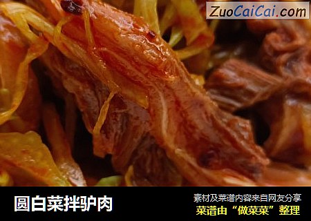 圆白菜拌驴肉