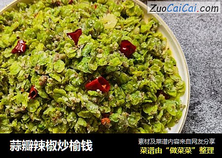 蒜瓣辣椒炒榆钱