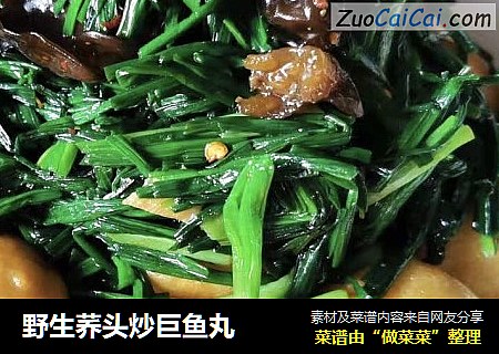 野生荞头炒巨鱼丸
