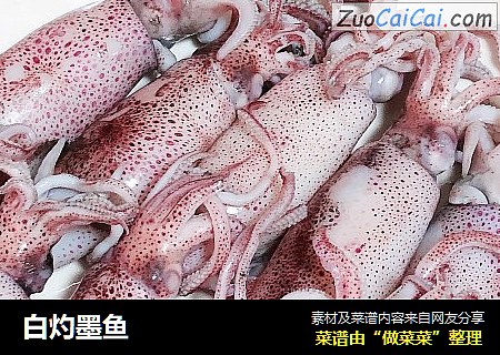 白灼墨鱼