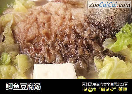 鲫鱼豆腐汤