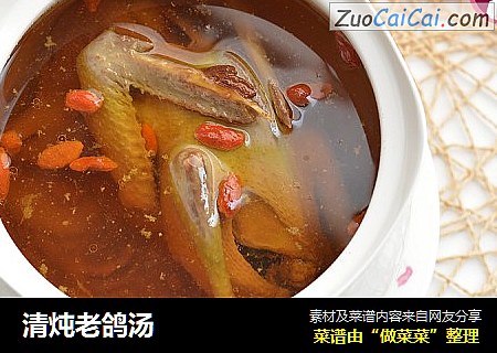 清炖老鸽汤