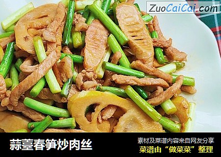 蒜薹春笋炒肉丝