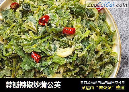 蒜瓣辣椒炒蒲公英