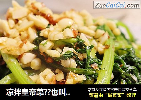 凉拌皇帝菜??也叫老醋茼蒿，酸爽开胃