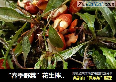 “春季野菜”花生拌苦菜