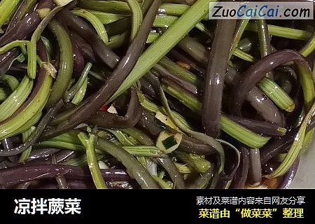 凉拌蕨菜