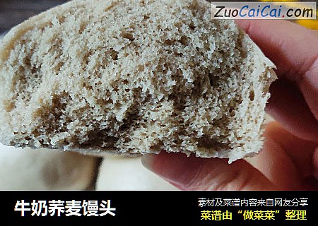 牛奶荞麦馒头
