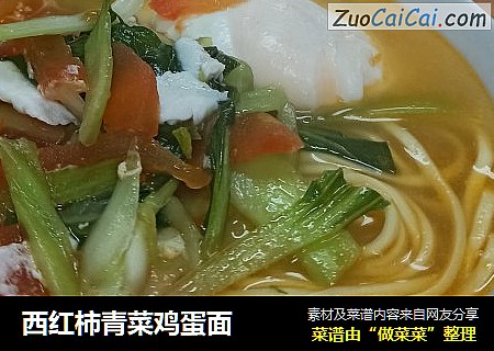 西红柿青菜鸡蛋面