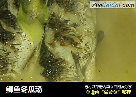 鲫鱼冬瓜汤