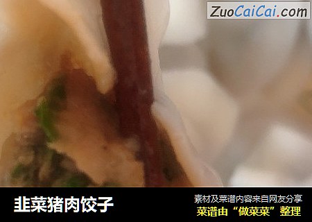 韭菜猪肉饺子
