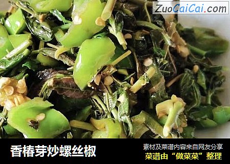 香椿芽炒螺丝椒
