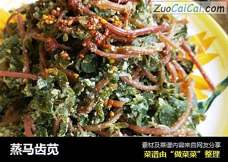 蒸马齿苋