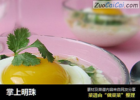 掌上明珠