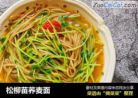 松柳苗荞麦面