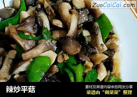 辣炒平菇