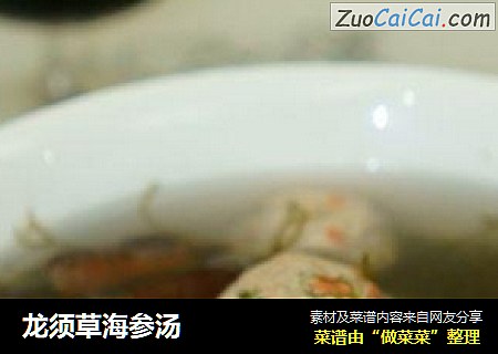 龙须草海参汤