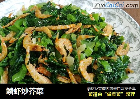鳞虾炒芥菜